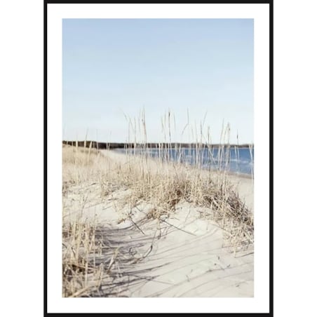 Poster Story, Plakat, Obraz - Trawa przy Morzu, wymiary 30 x 42 cm