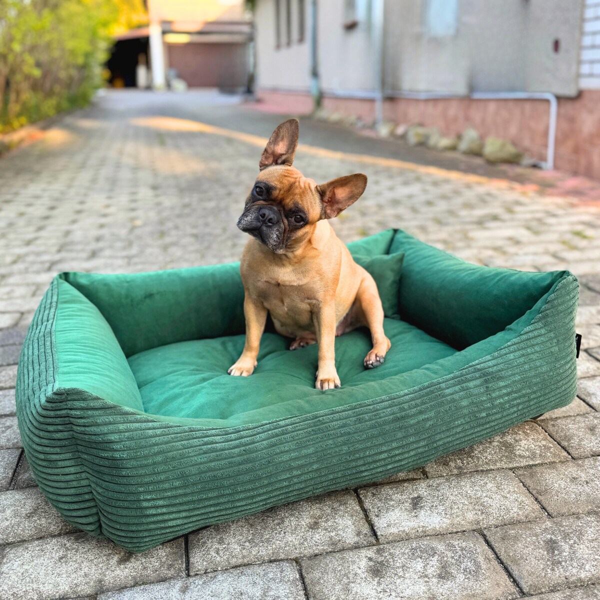Sztruksowe legowisko dla psa MOLLY, 120x100 cm, Zieleń