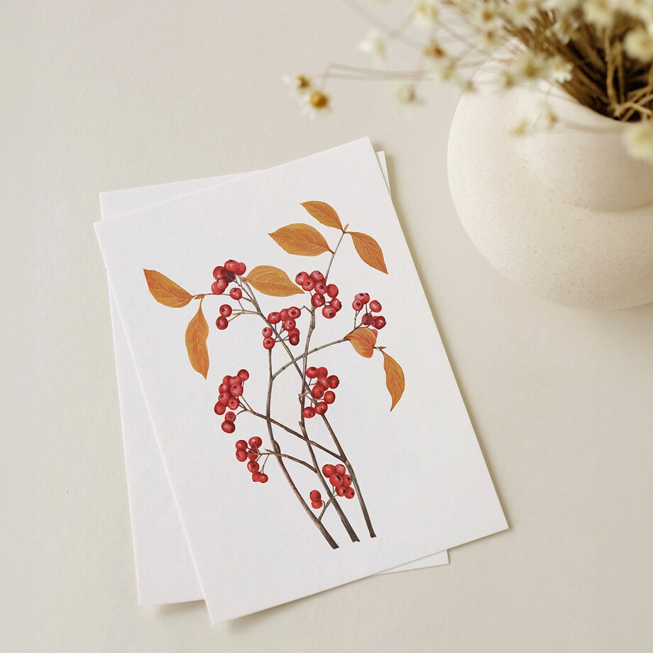 Plakat aronia czerwona 21x30cm