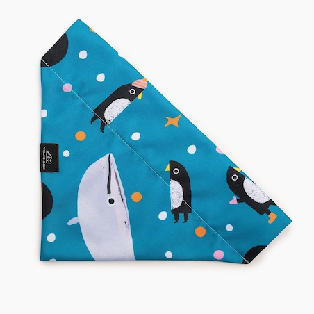 Bandanka "Łot de fok?" na obrożę - Rozmiar: S, Rodzaj: Do obroży