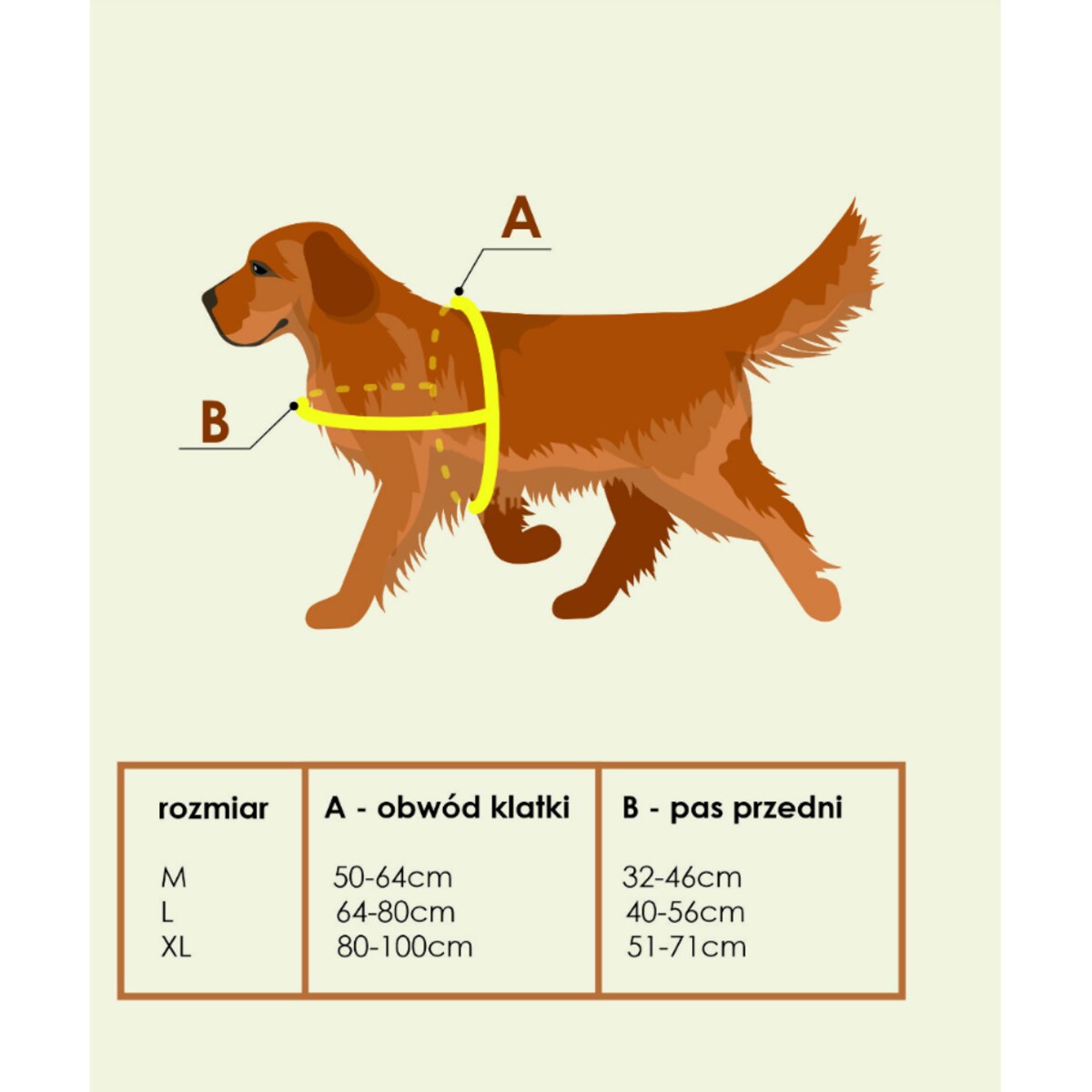 SZELKI NORWESKIE, SZELKI SKÓRZANE DLA PSA - ROZMIAR M
