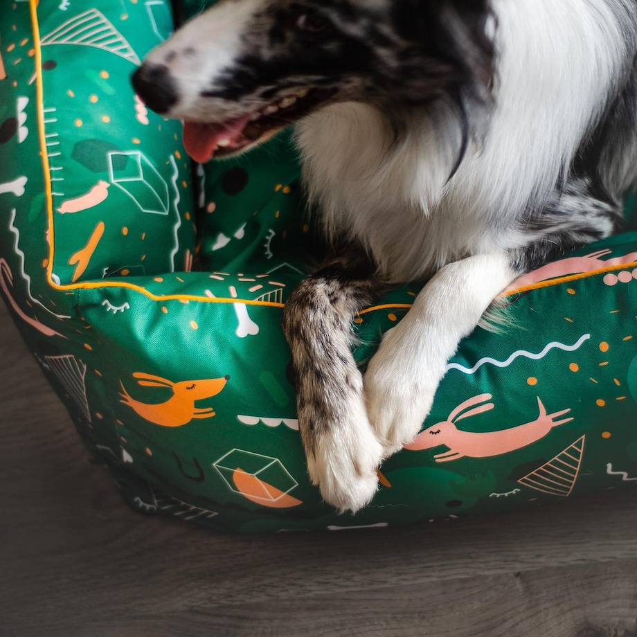 Kanapa ortopedyczna "Psy na jawie" - Rozmiar: S