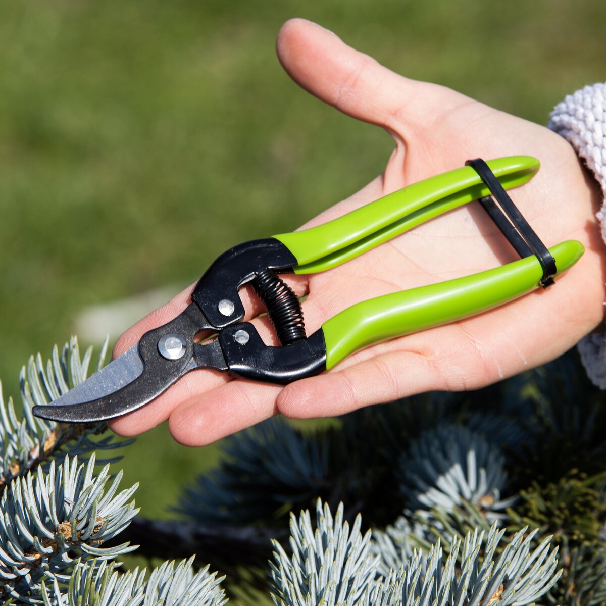 Nożyce Ogrodowe Nożyczki Do Gałęzi Kwiatów Sekator Do Krzewów