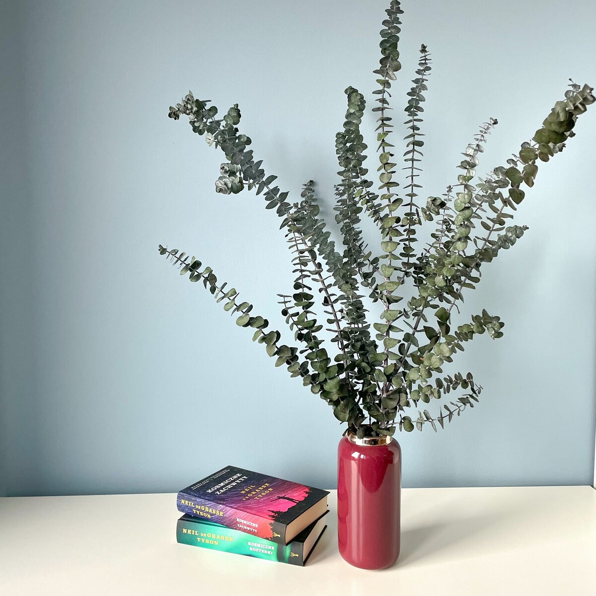 Eukaliptus Stabilizowany Baby