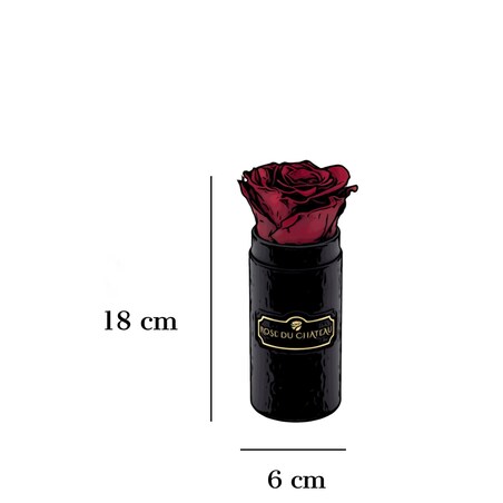 Czerwona Wieczna Róża w Czarnym Mini Boxie