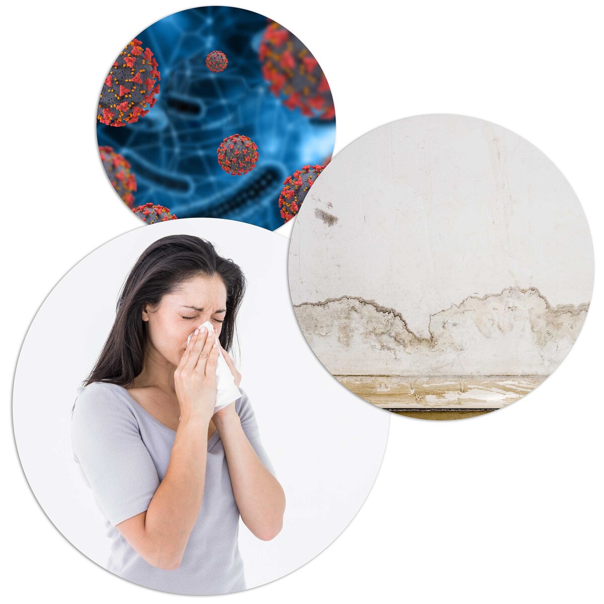 Osuszacz powietrza pochłaniacz wilgoci 800ml 23W Berdsen