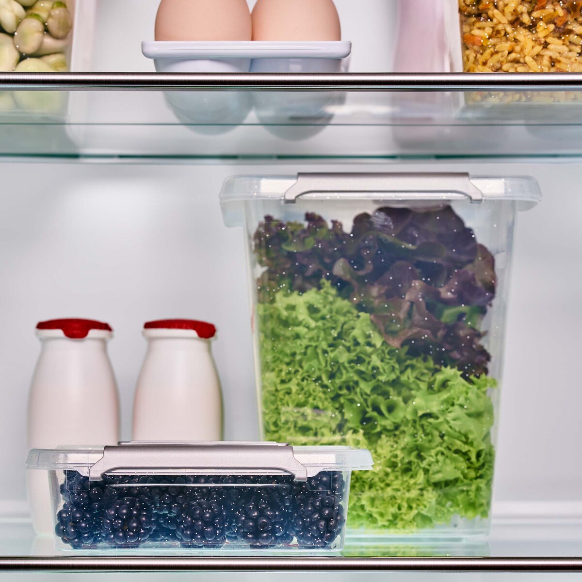 Pojemnik Plastikowy Pudełko Z Pokrywą Na Żywność Antybakteryjne 3X 0,6L