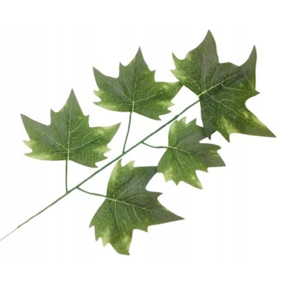 LIŚĆ PIK dodatek do bukietu stroika CIEMNY ZIELONY kompozycja gałązka klonu