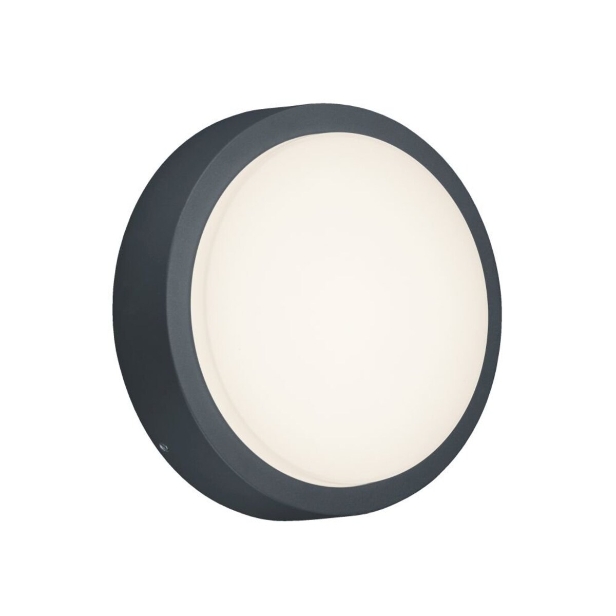 Lampa ścienna natynkowa LED 8,5W Trio BREG 227260142 – nowoczesny kinkiet do wnętrz