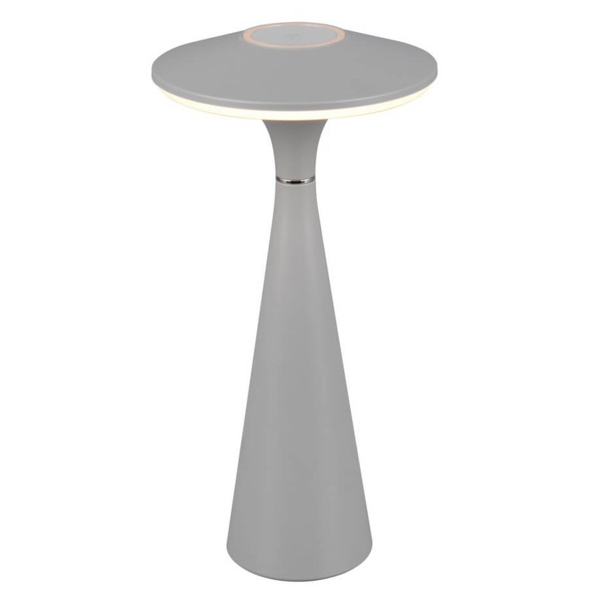 Stojąca lampa ledowa Torrez R57726177 RL Light LED 2W 3000-5000K IP44 szara