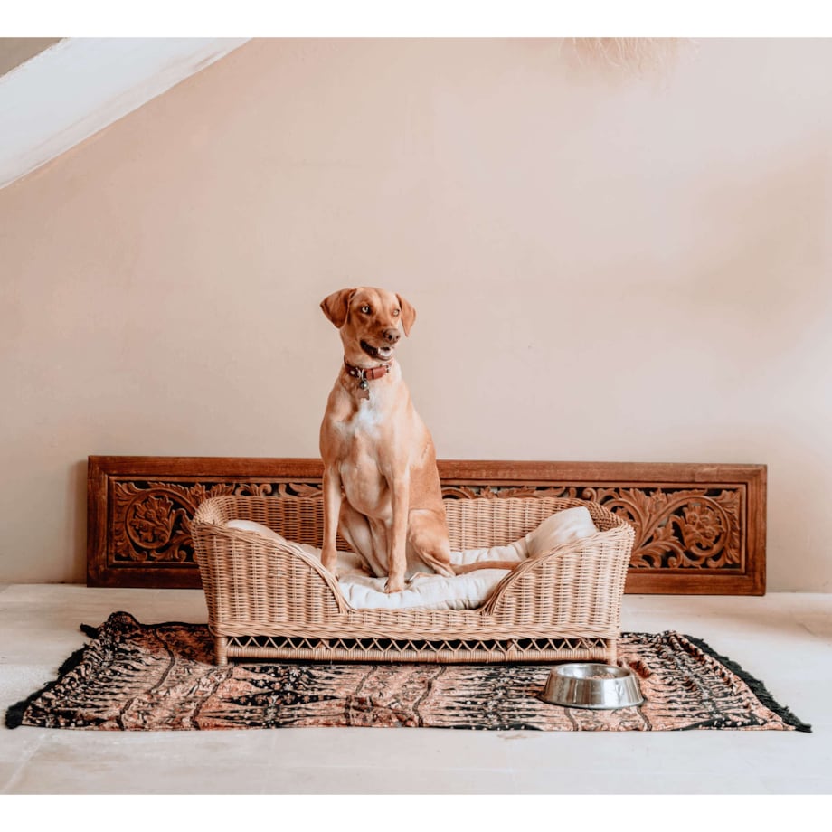 KALUA LEGOWISKO KOSZ DLA PSA L