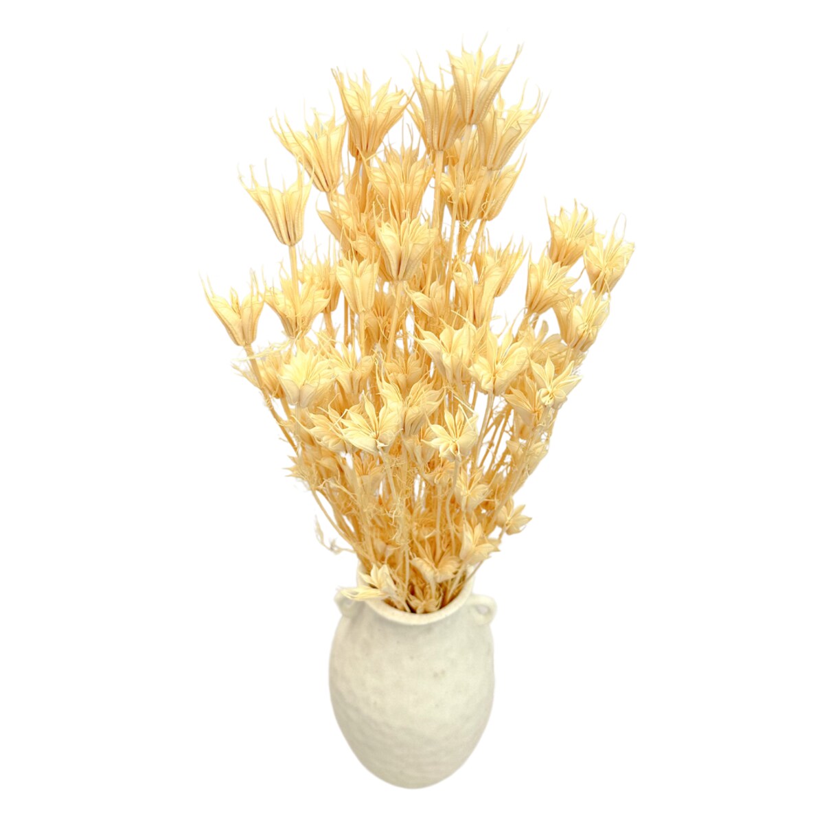 Suszona czarnuszka orientalna bielona