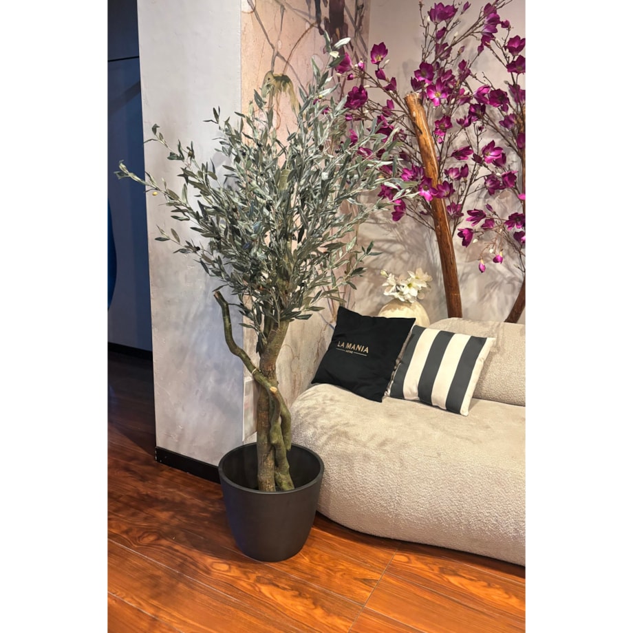Drzewo oliwne 180cm na kręconym naturalnym pniu
