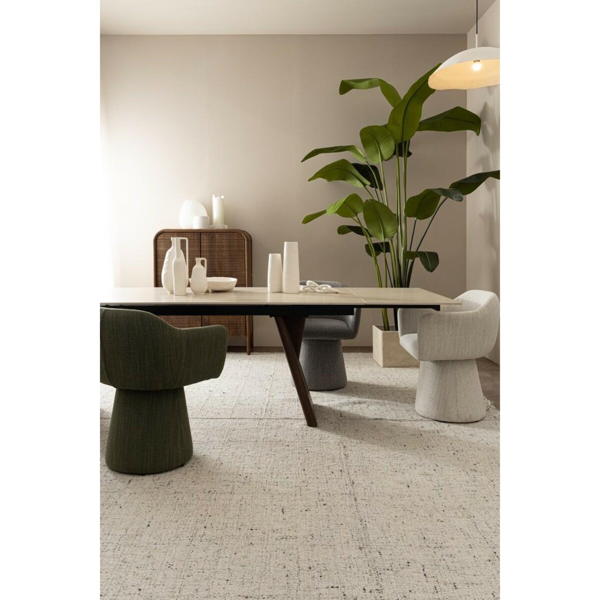 BIZZOTTO roślina dekoracyjna STRELICJA