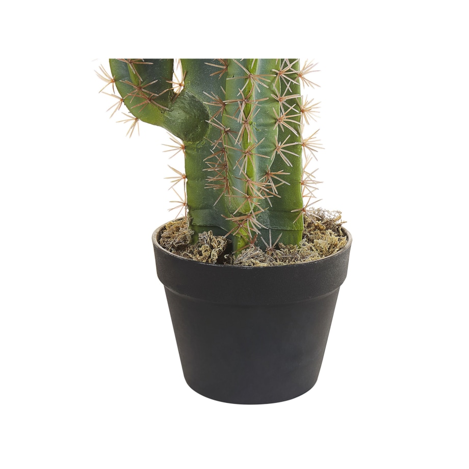 Sztuczna roślina doniczkowa 78 cm CACTUS