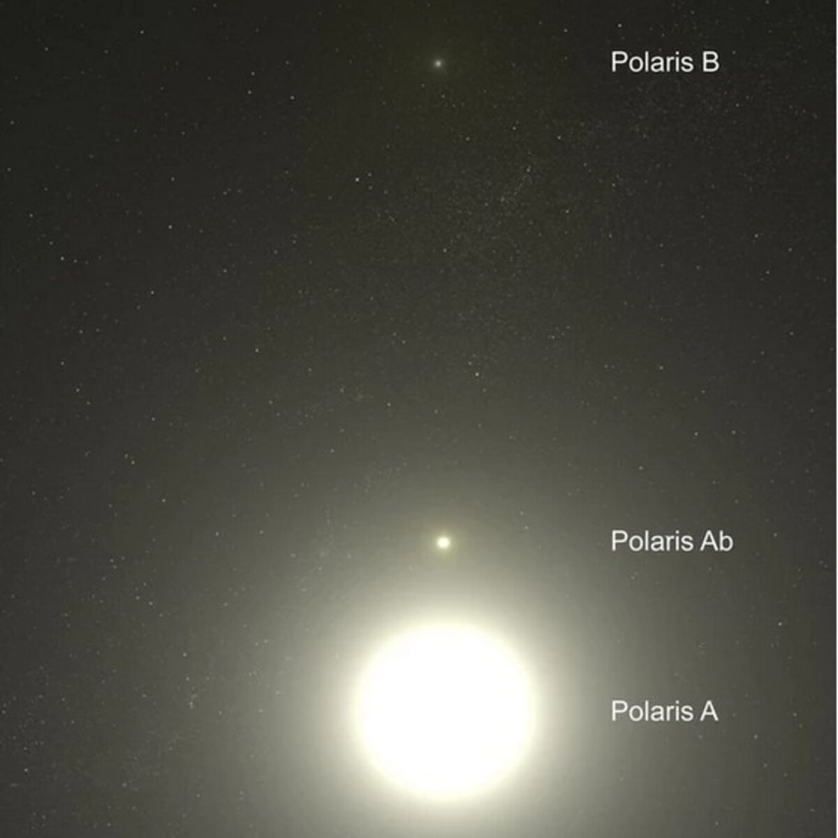 Pluszowe planety - Dwie gwiazdki: Polaris Ab i B