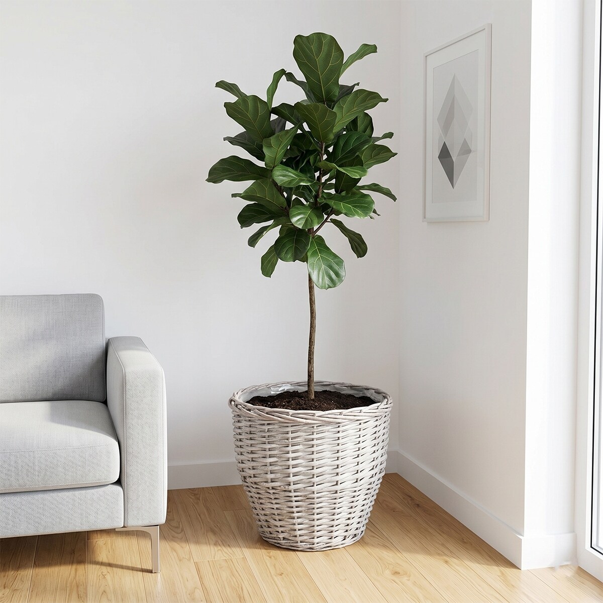 KOSZ WIKLINOWY NA KWIATY DREWNO PRANIE DUŻY DONICZKA DONICA KWIETNIK 3 szt.