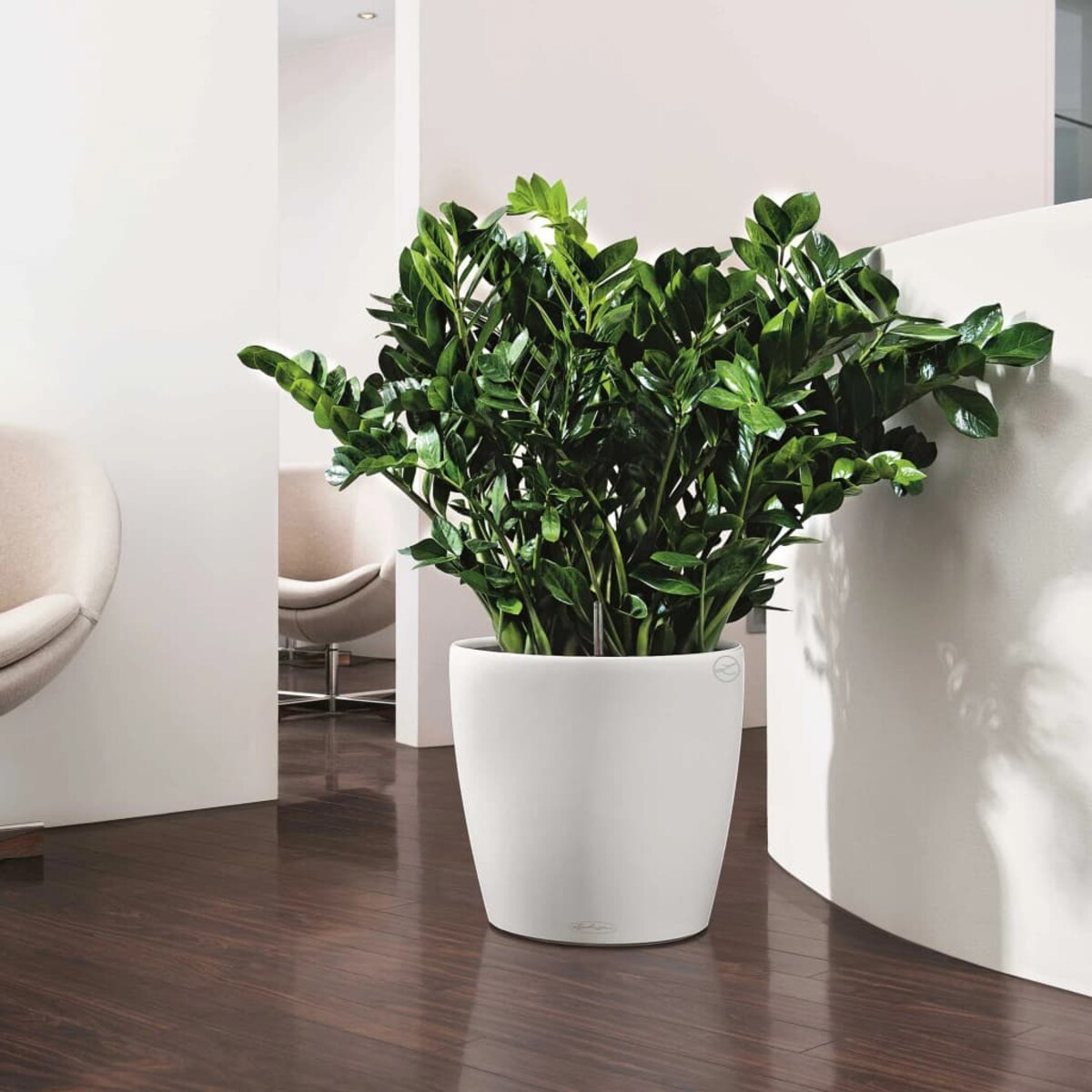 LECHUZA Donica Classico Color 35 ALL-IN-ONE, biała, 13210