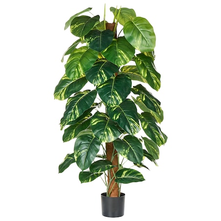 Sztuczna roślina DIEFFENBACHIA 152 cm Zielony