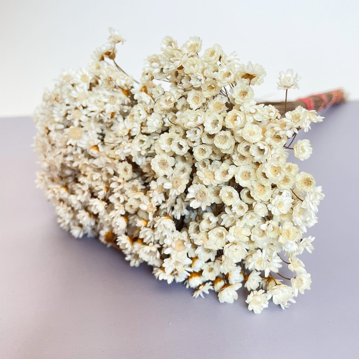 Suszona gliksja naturalna 50g