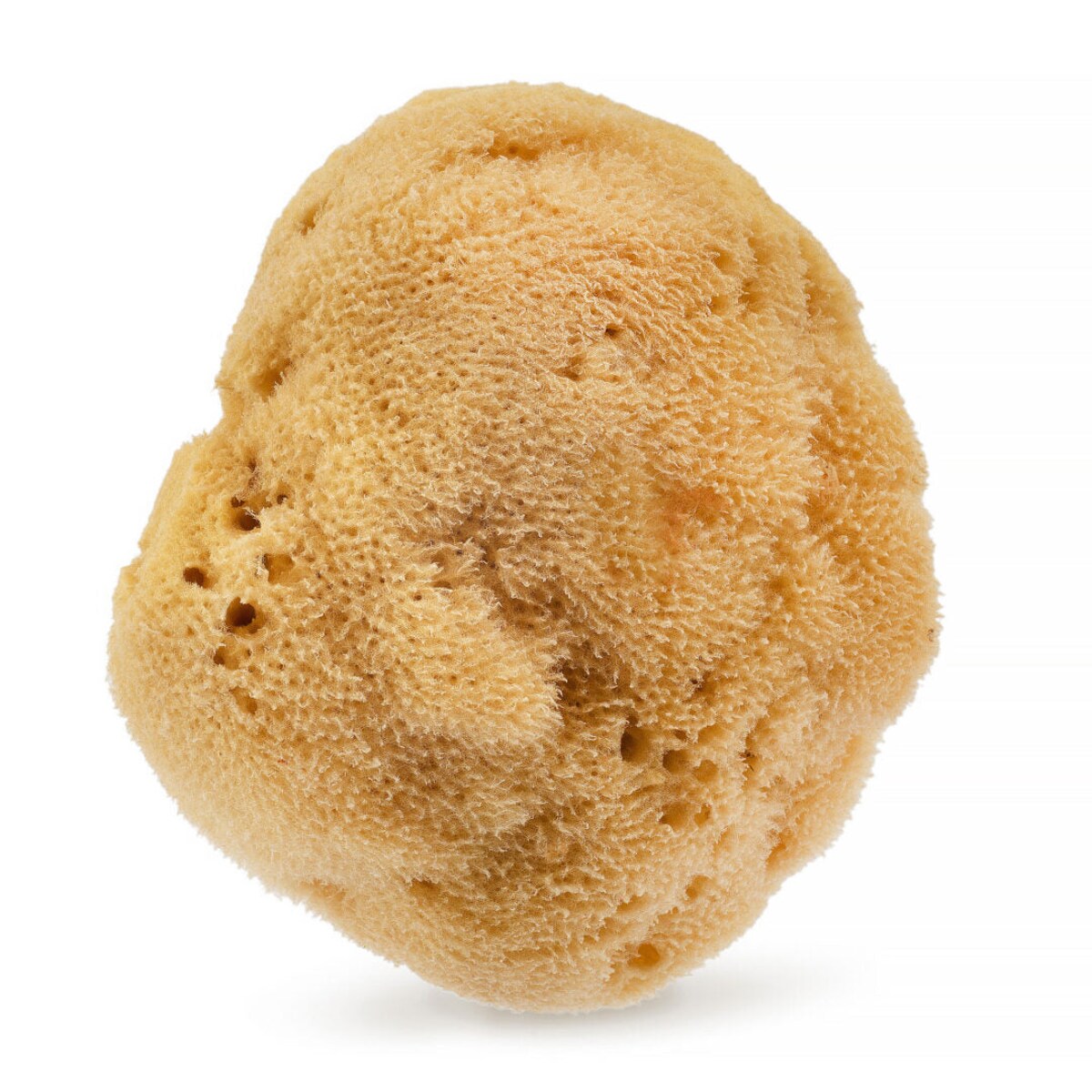 Naturalna gąbka morska (brązowa) - 12,5 cm 01F