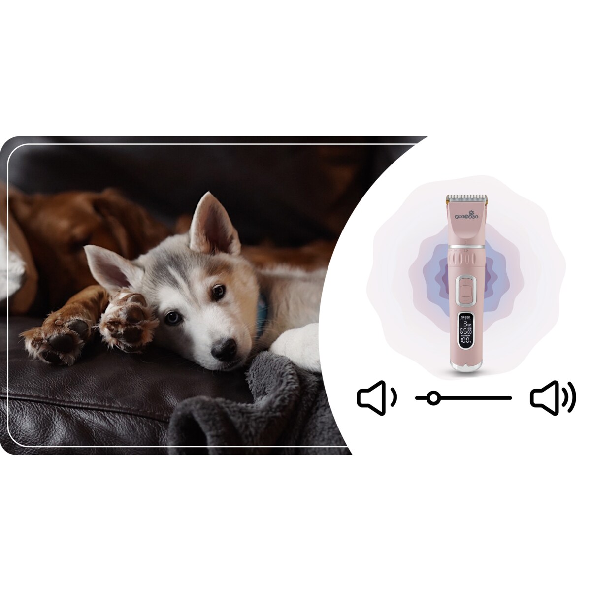 Maszynka do strzyżenia zwierząt profesjonalna zestaw Pethaus