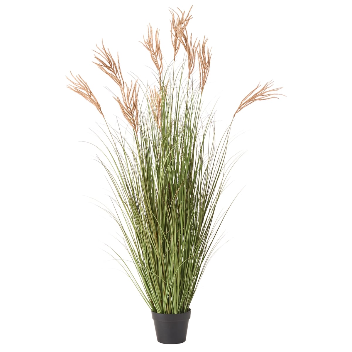 Sztuczna roślina CLAW FLOWER 150 cm Zielony