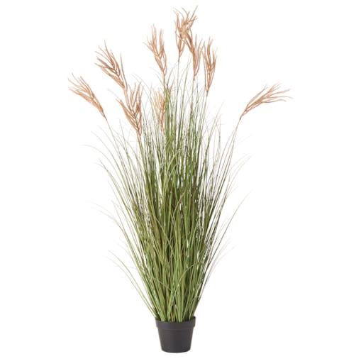 Sztuczna roślina CLAW FLOWER 150 cm Zielony