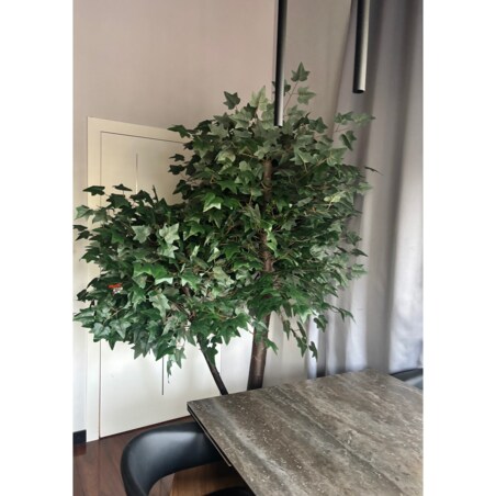 Drzewo klon z zielonymi liśćmi na naturalnym pniu 240 cm