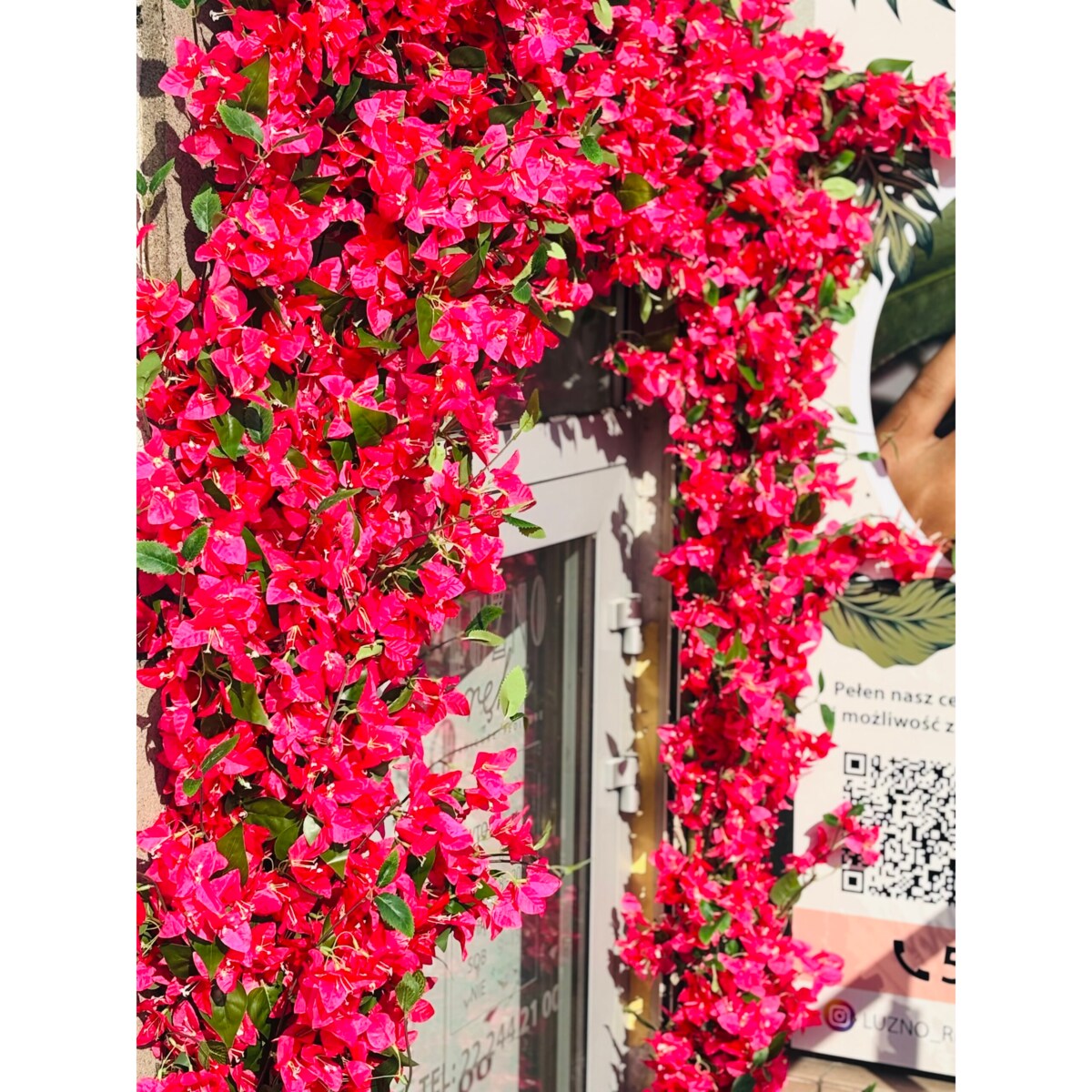 Instalacja fuksjowa z kwiatów bugenwilla w kształcie litery „u”