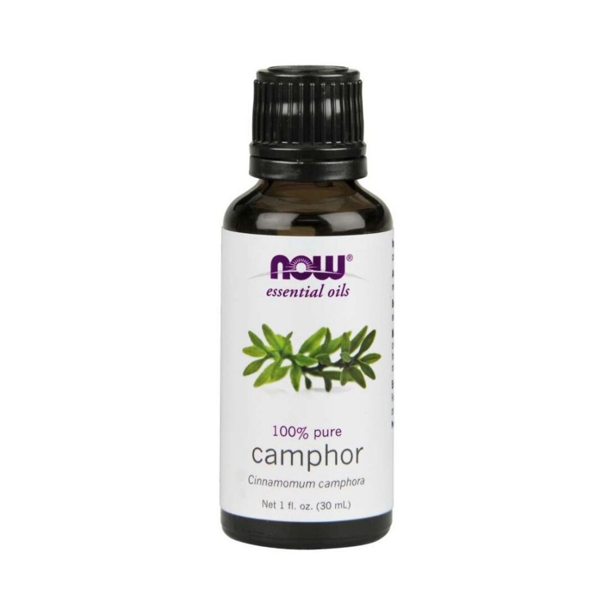 NOW Foods 100% olejek kamforowy 30 ml BI3636