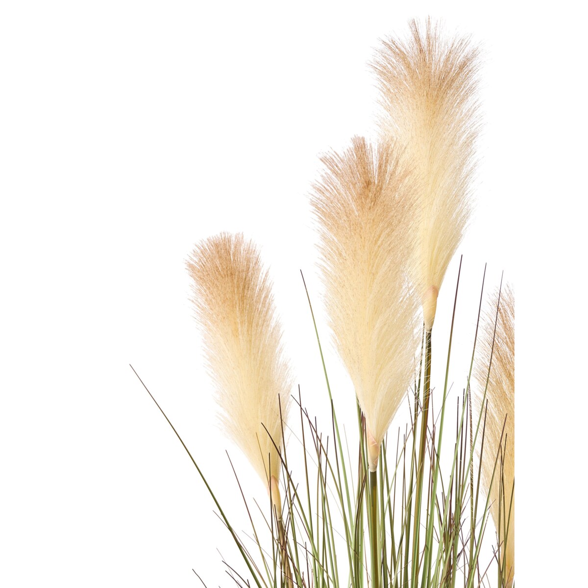 Sztuczna roślina PAMPAS GRASS 120 cm Zielony