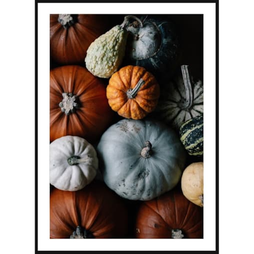 Poster Story, Plakat, Obraz - Kolorowe Dynie, wymiary 30 x 42 cm
