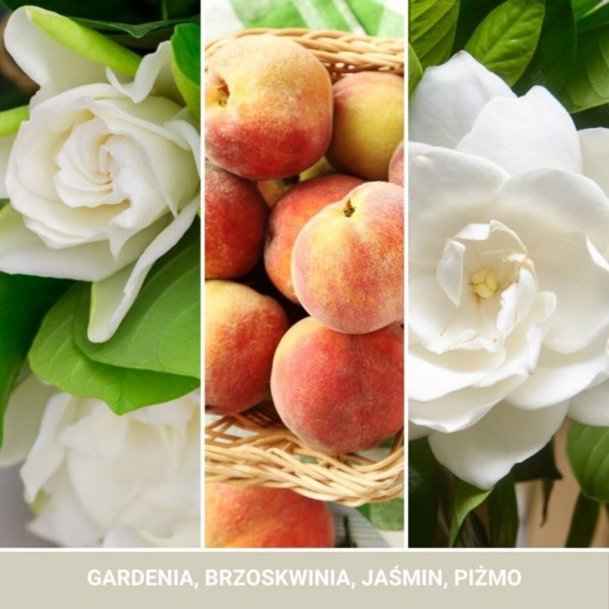 Yankee Candle wosk WHITE GARDENIA