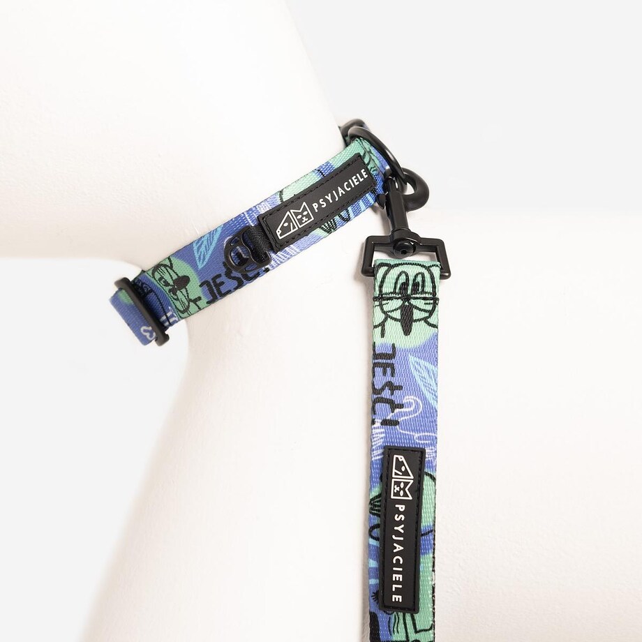 Obroża dla psa lub kota "Spacer albo psikus" - Szerokość taśmy: 25mm, Rozmiar: S