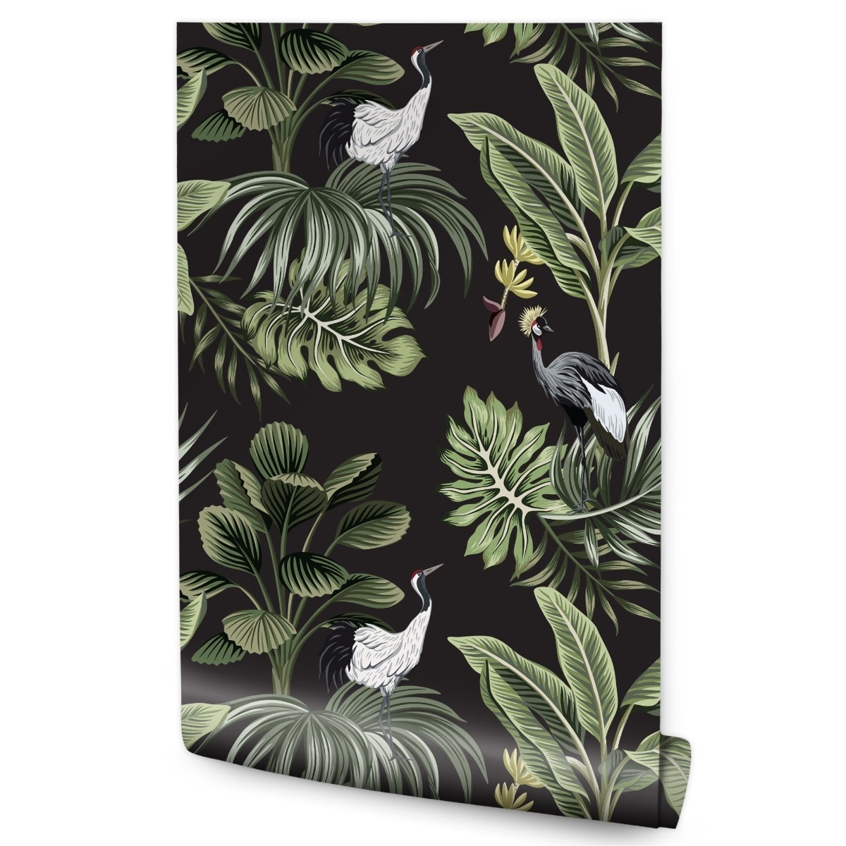 Tapeta liście tropikalne ptaki natura