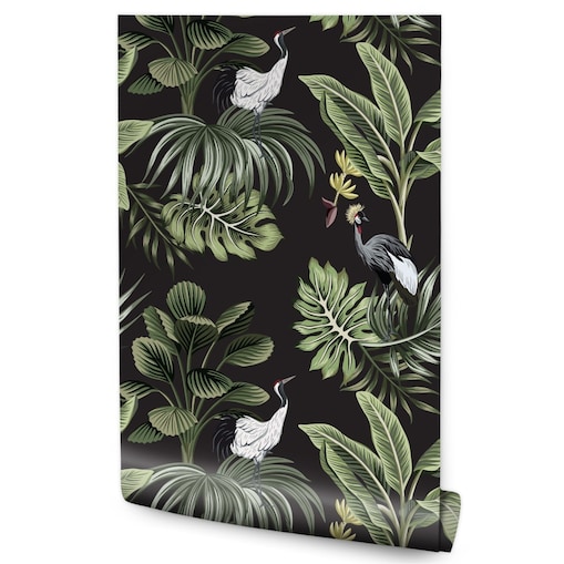 Tapeta liście tropikalne ptaki natura