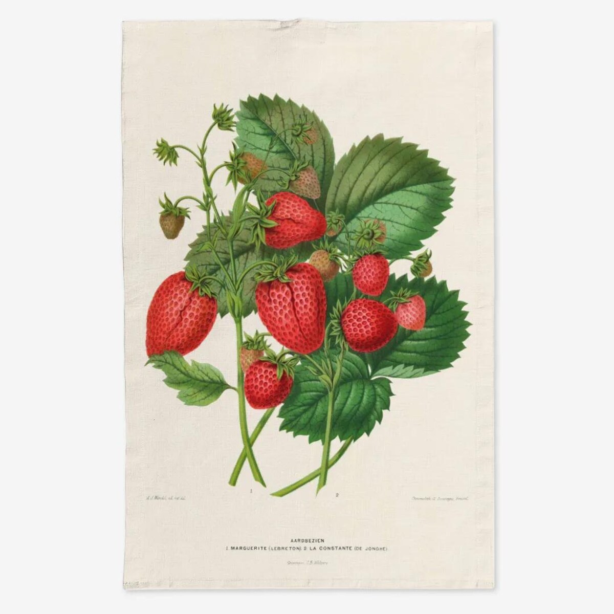 Lniany ręcznik kuchenny - Liście i truskawki