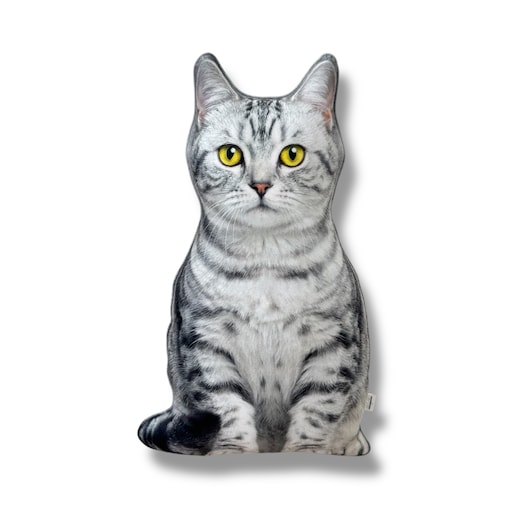 Poduszka dekoracyjna Kot domowy pręgowany srebrzysty jasny szary