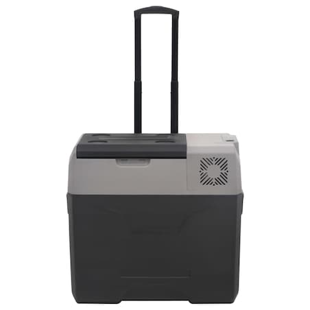 vidaXL Lodówka na kółkach, z zasilaczem, czarno-szara, 30 L, PP