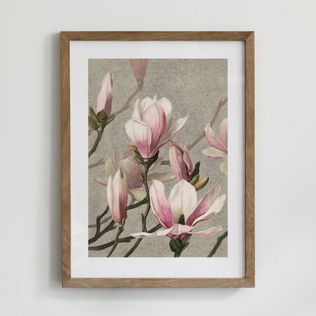 Plakat Magnolia 30x40cm