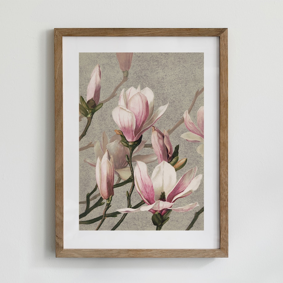 Plakat Magnolia 30x40cm
