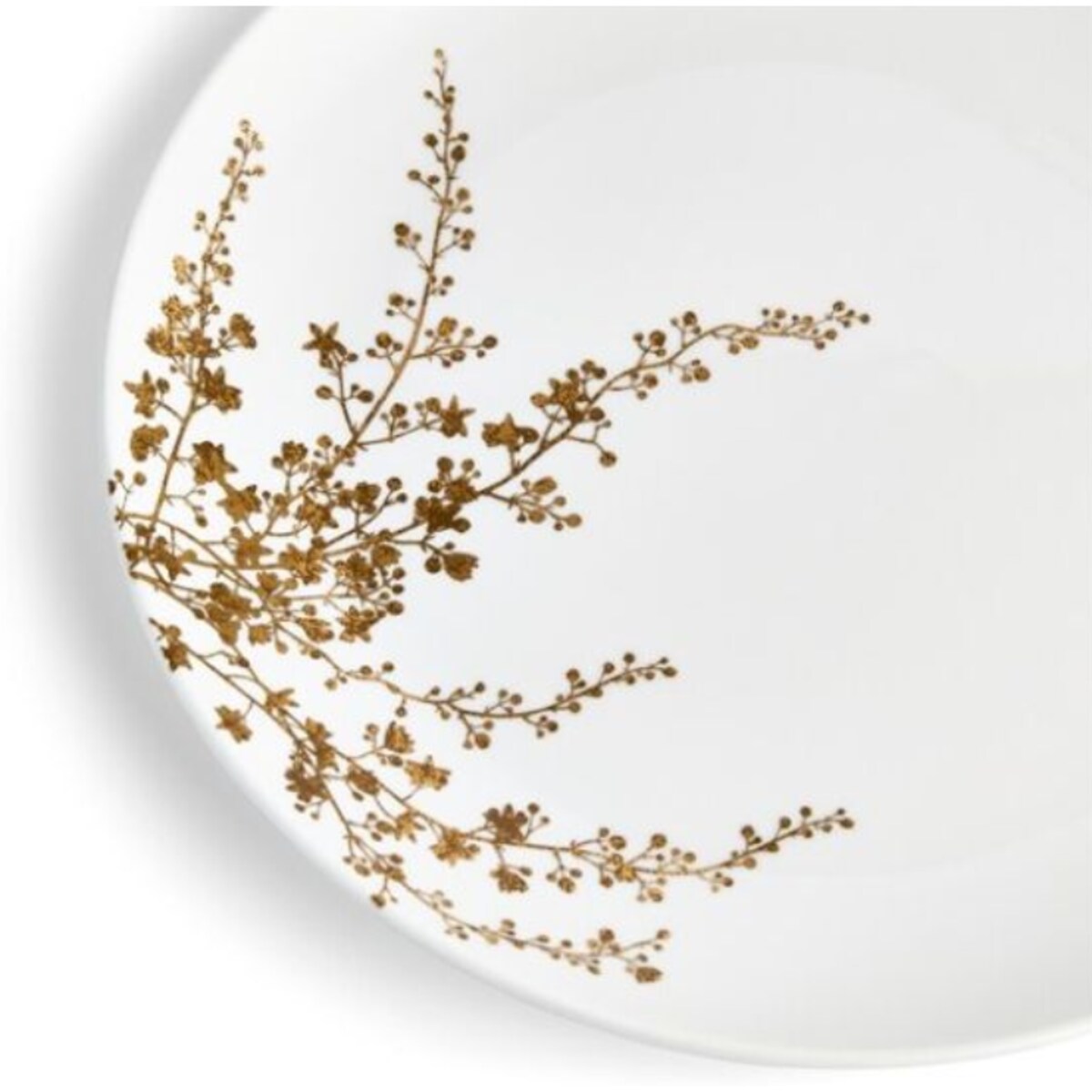 Talerz obiadowy 28 cm Vera Wang Jardin Wedgwood