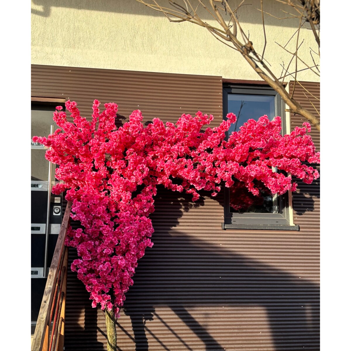 Instalacja / witryna fuksjowa z kwiatów wiśni 260cm