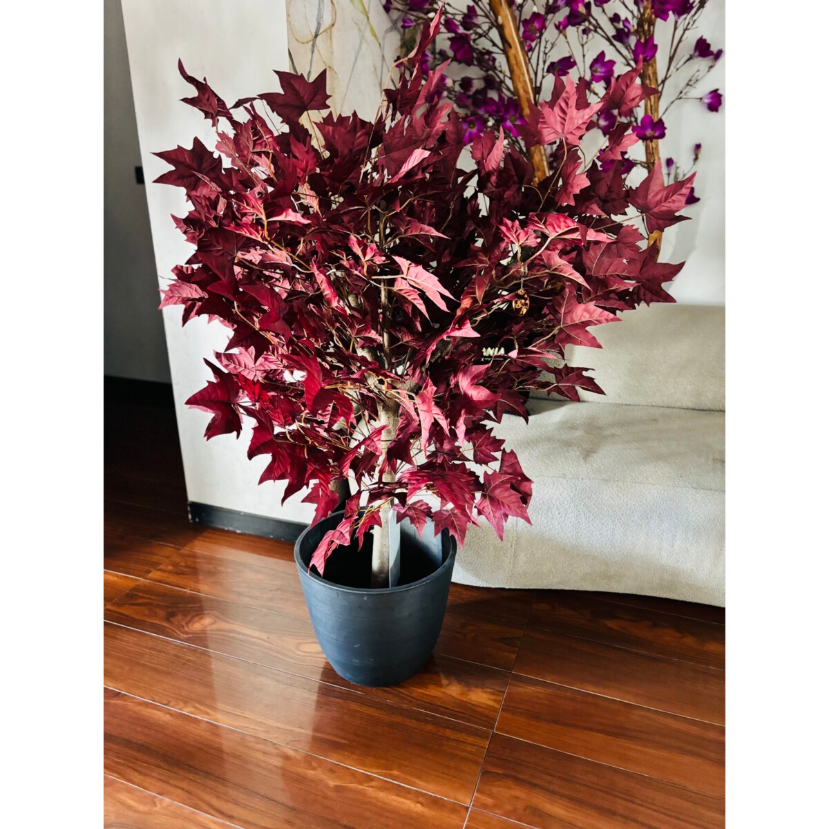 Drzewo klon bordowy na naturalnym pniu 120 cm