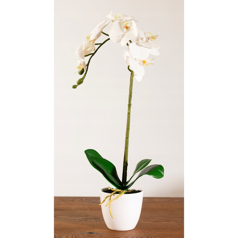 SZTUCZNA ORCHIDEA STORCZYK BIAŁY JAK ŻYWY SILIKONOWY REALISTYCZNA DEKORACJA