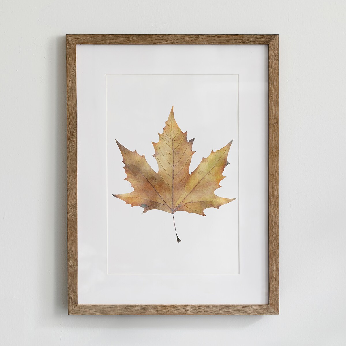 Plakat Liść klonu 30x40cm