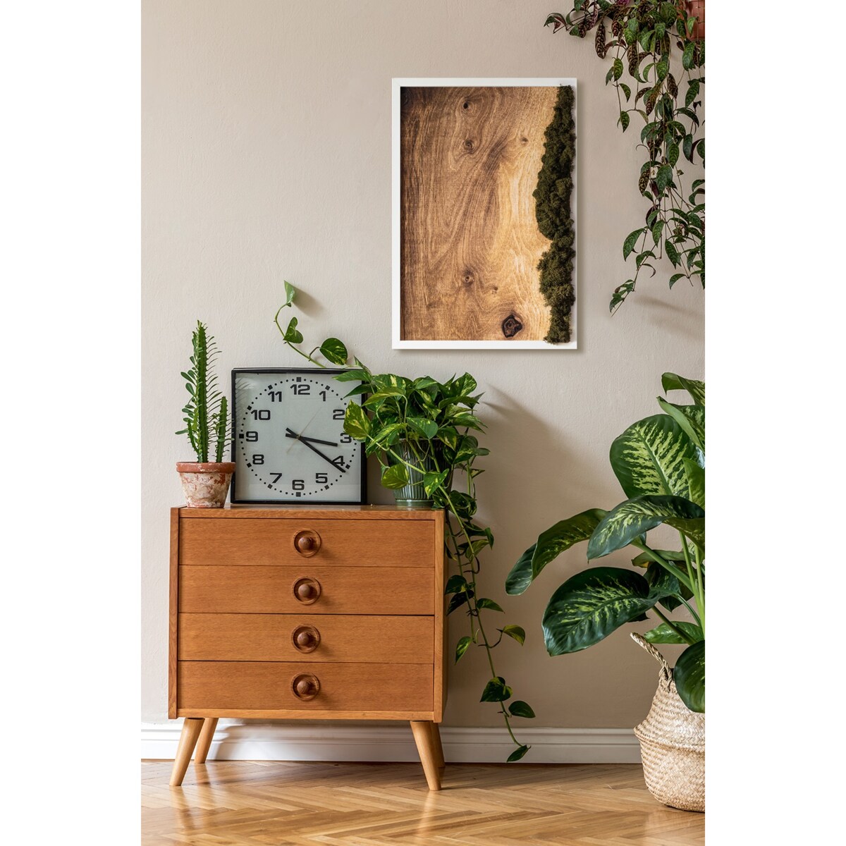 Obraz Dębowa deska naturalna - mech chrobotek w białej ramie 40x60cm