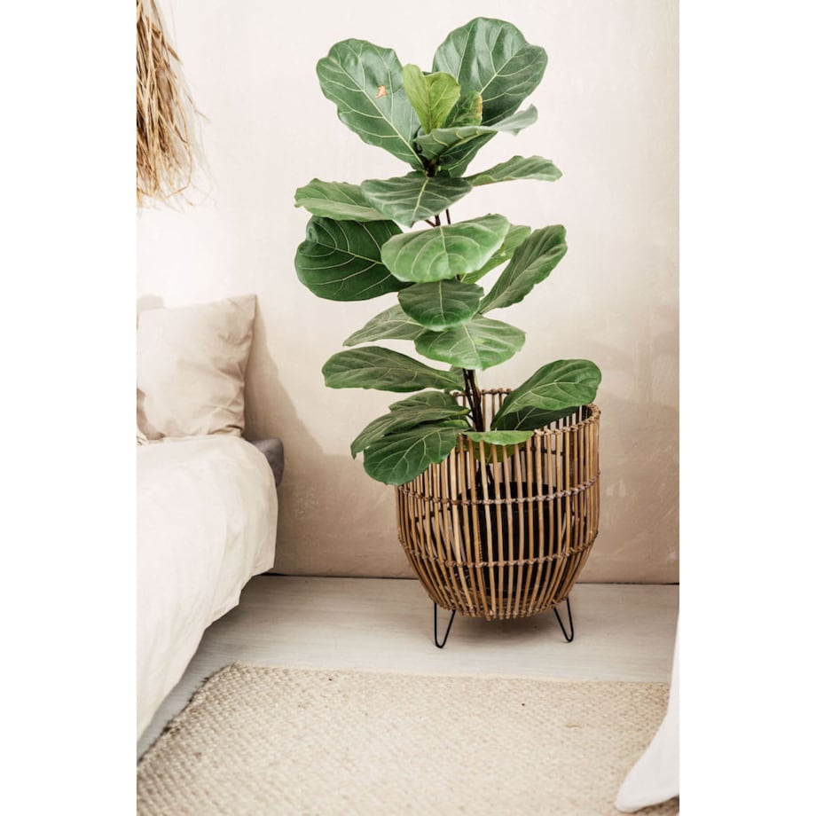 DONICA KOSZ RATTANOWA SZARA LAURA L