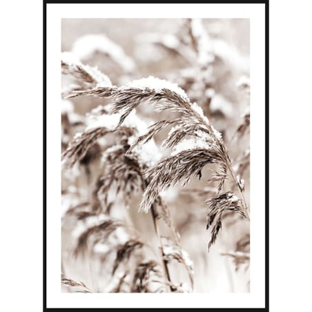 Poster Story, Plakat, Obraz - Polna Trawa Pokryta Śniegiem, wymiary 60 x 84 cm